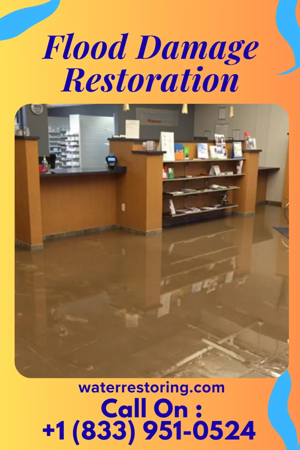Flood Damage Restoration in Peekskill, NY