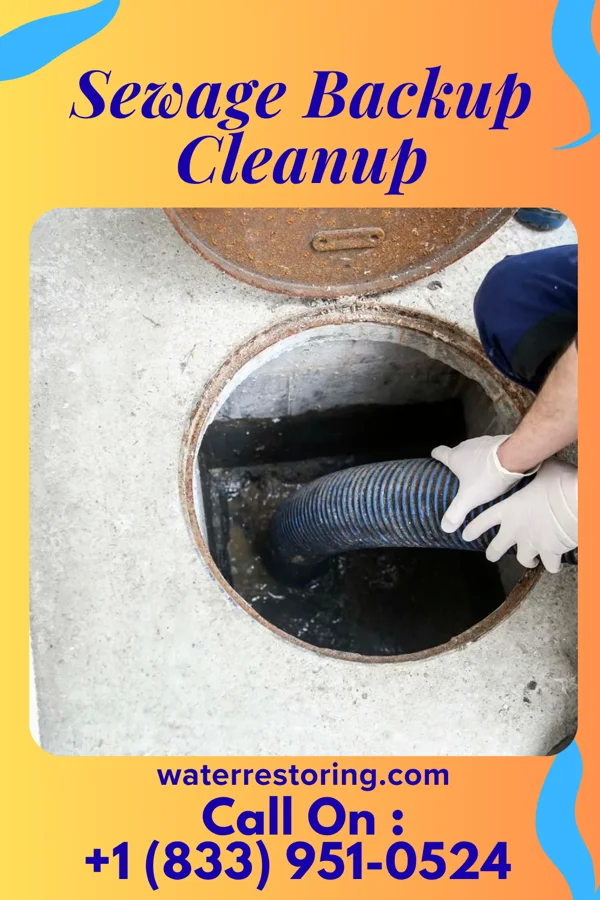 Sewage Backup Cleanup in Peekskill, NY