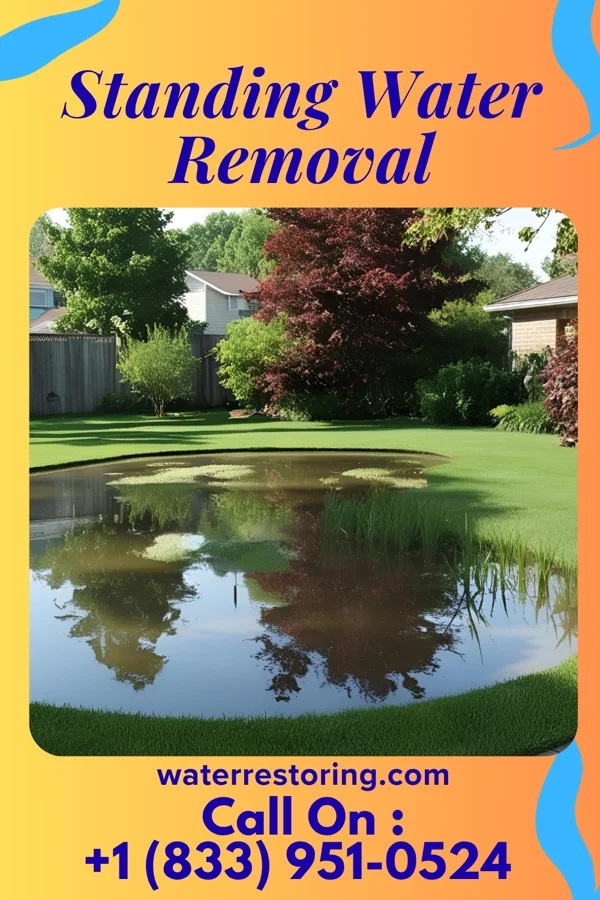 Standing Water Removal in Peekskill, NY